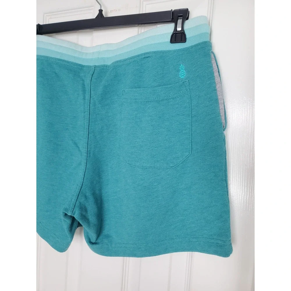 Chubbies Lounge Wear Shorts Teal Blue Green Striped Waistband Casual Large 5.5